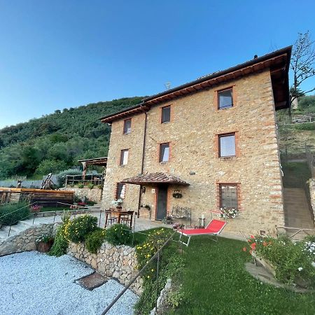 B&B Il Volo Camaiore Luaran gambar