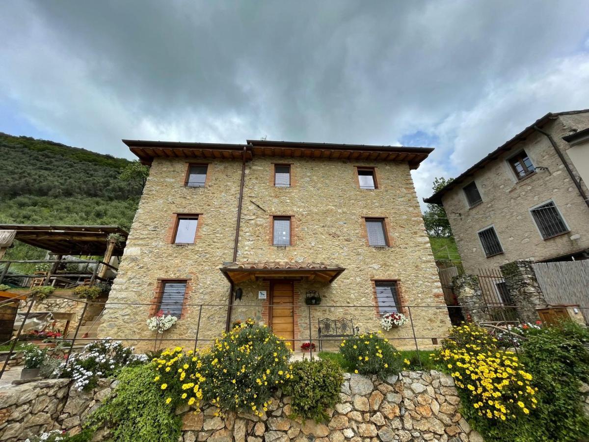 B&B Il Volo Camaiore Luaran gambar