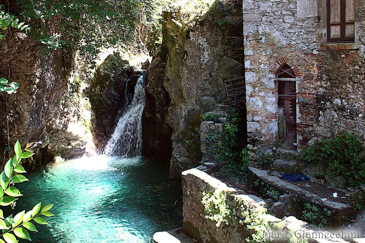 B&B Il Volo Camaiore Luaran gambar