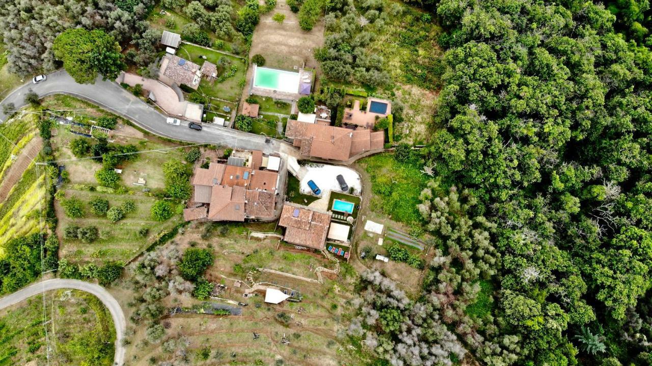 B&B Il Volo Camaiore Luaran gambar